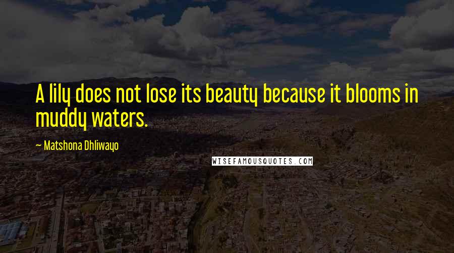 Matshona Dhliwayo Quotes: A lily does not lose its beauty because it blooms in muddy waters.