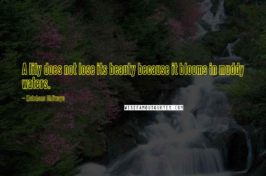 Matshona Dhliwayo Quotes: A lily does not lose its beauty because it blooms in muddy waters.