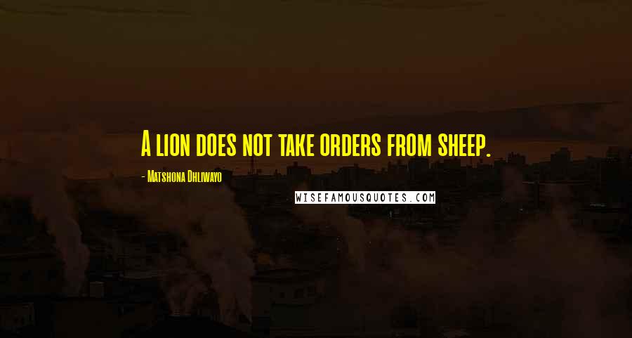 Matshona Dhliwayo Quotes: A lion does not take orders from sheep.