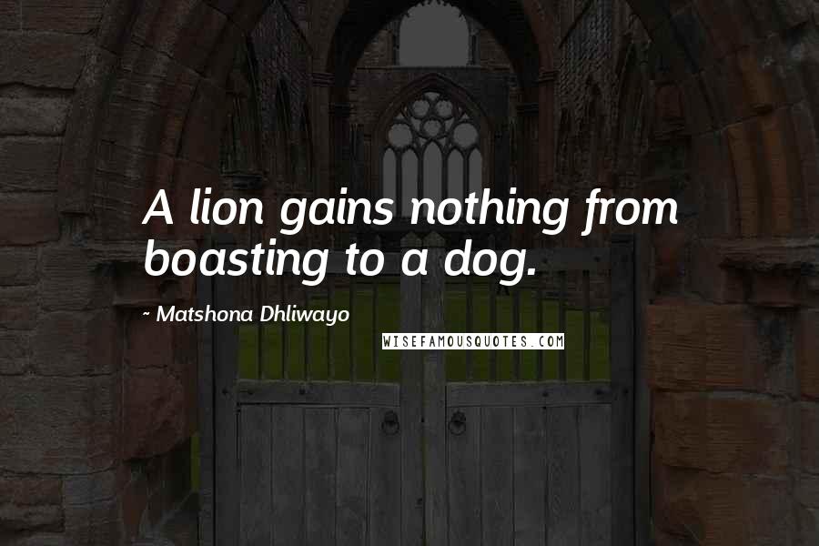 Matshona Dhliwayo Quotes: A lion gains nothing from boasting to a dog.