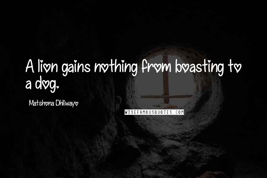 Matshona Dhliwayo Quotes: A lion gains nothing from boasting to a dog.