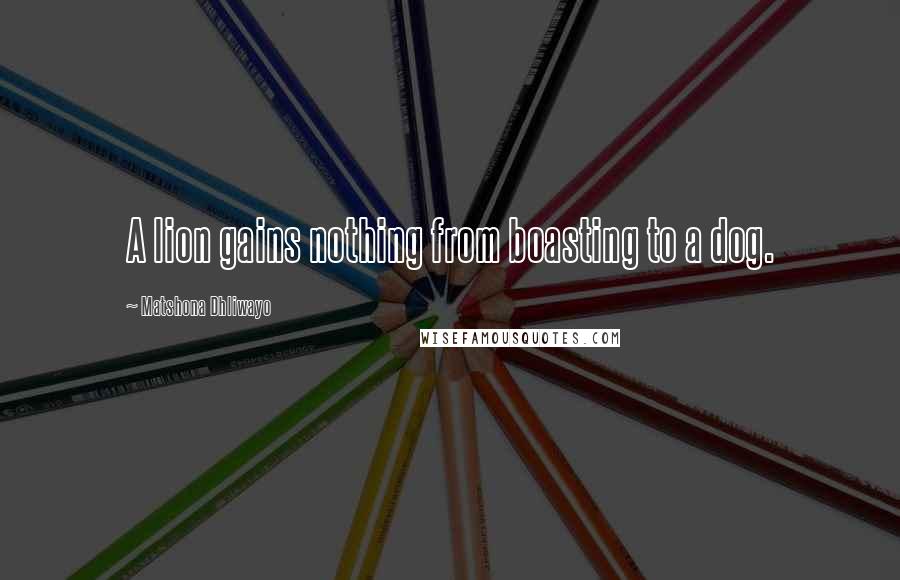 Matshona Dhliwayo Quotes: A lion gains nothing from boasting to a dog.