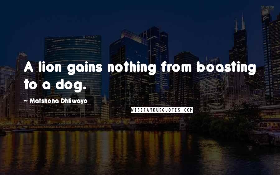 Matshona Dhliwayo Quotes: A lion gains nothing from boasting to a dog.