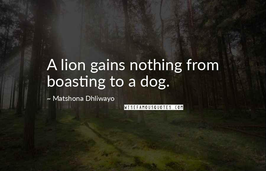 Matshona Dhliwayo Quotes: A lion gains nothing from boasting to a dog.