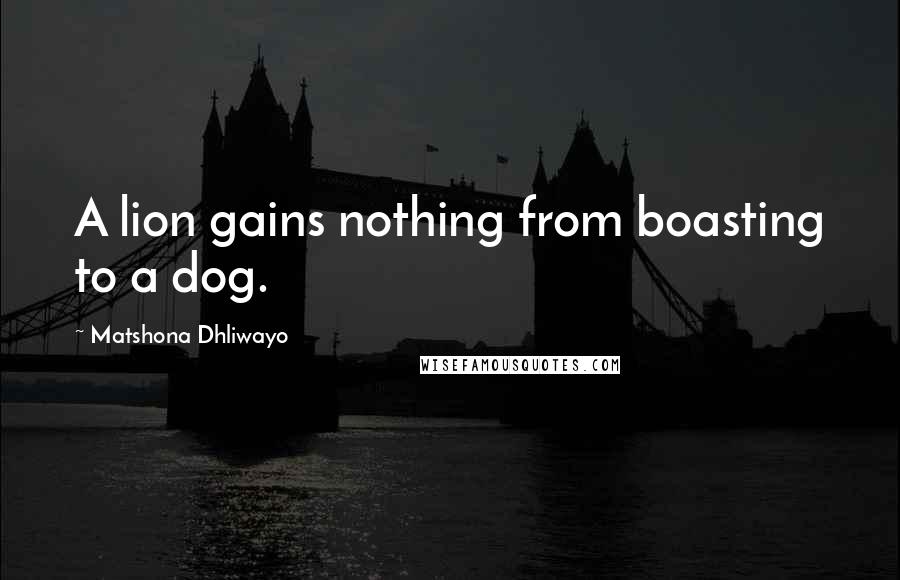 Matshona Dhliwayo Quotes: A lion gains nothing from boasting to a dog.