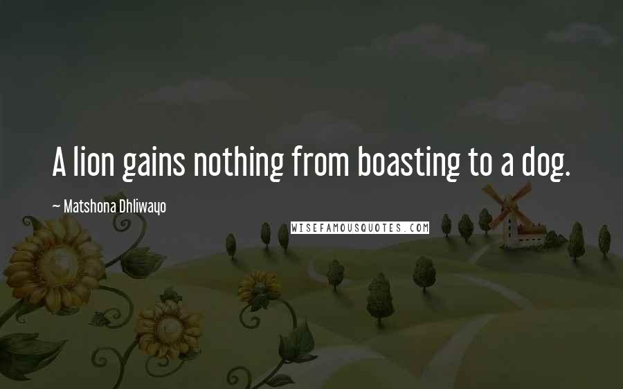 Matshona Dhliwayo Quotes: A lion gains nothing from boasting to a dog.