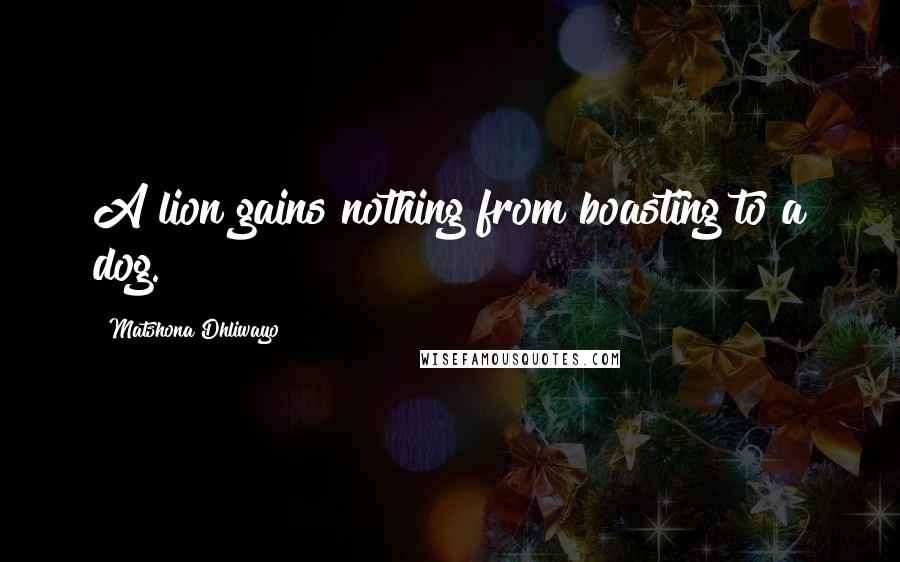 Matshona Dhliwayo Quotes: A lion gains nothing from boasting to a dog.