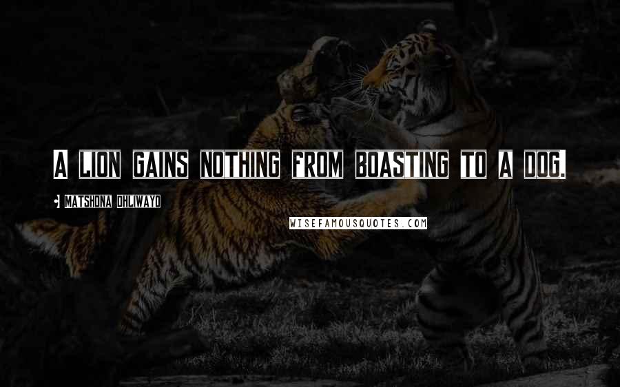 Matshona Dhliwayo Quotes: A lion gains nothing from boasting to a dog.