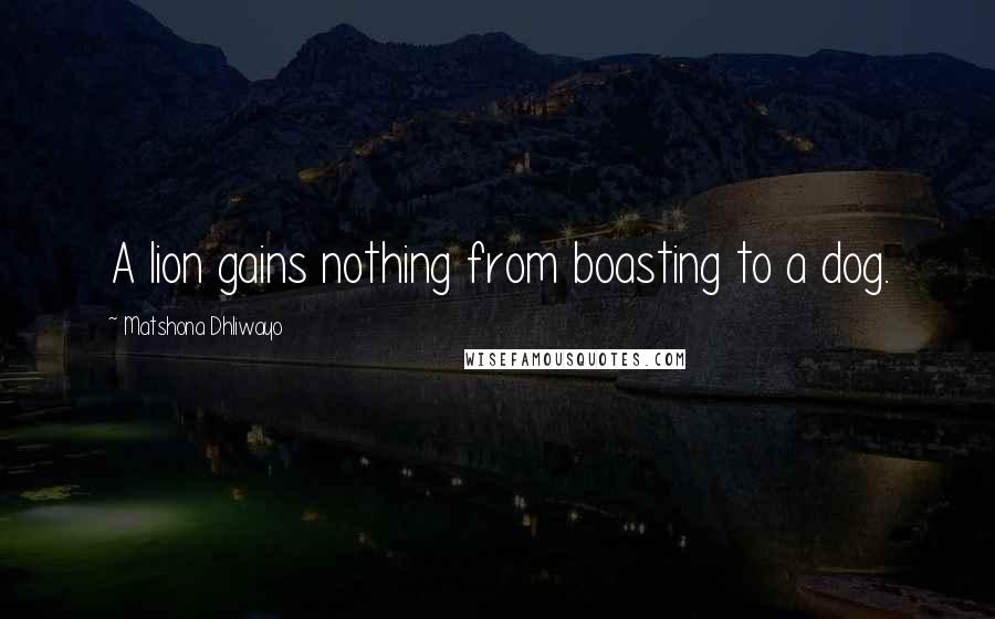 Matshona Dhliwayo Quotes: A lion gains nothing from boasting to a dog.