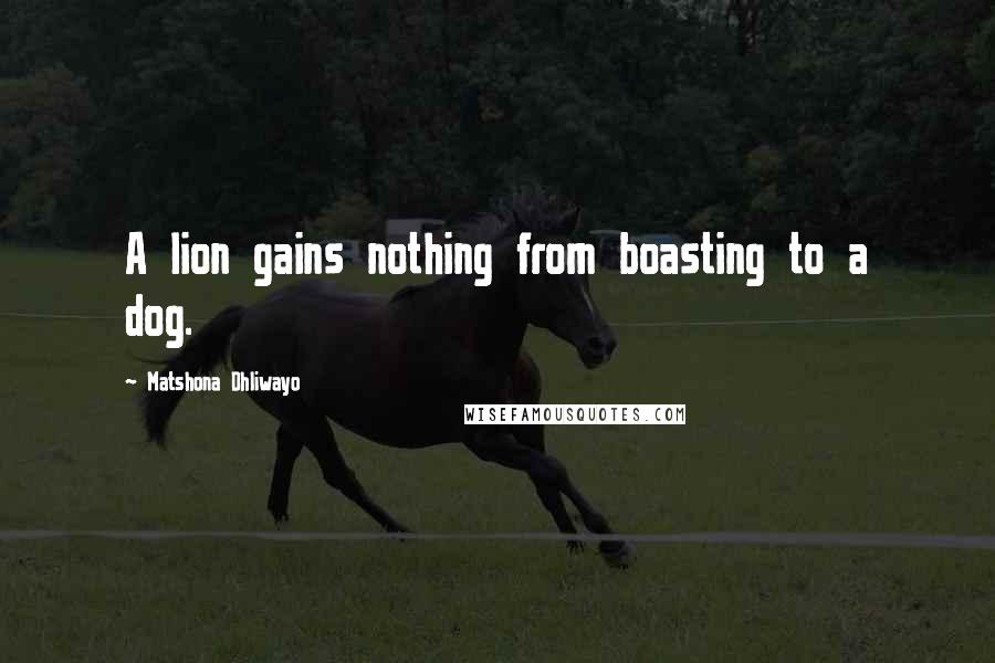 Matshona Dhliwayo Quotes: A lion gains nothing from boasting to a dog.