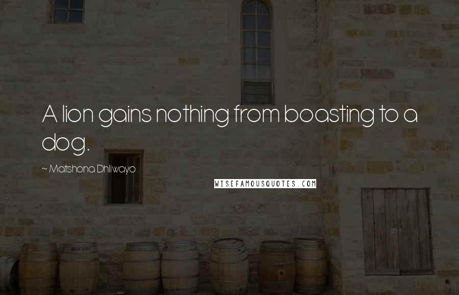 Matshona Dhliwayo Quotes: A lion gains nothing from boasting to a dog.