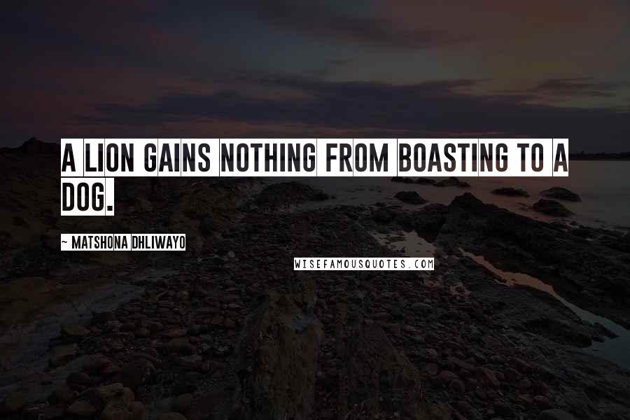 Matshona Dhliwayo Quotes: A lion gains nothing from boasting to a dog.