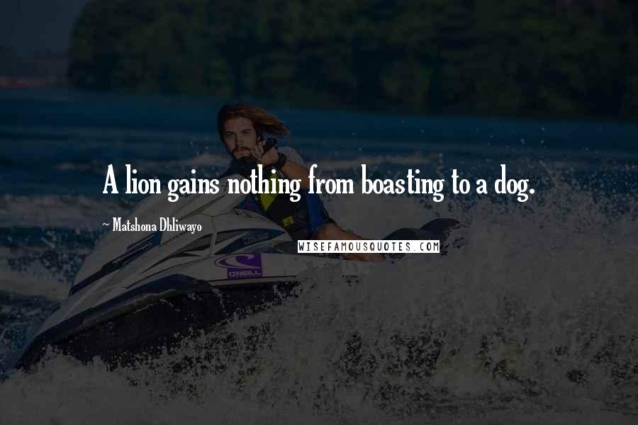 Matshona Dhliwayo Quotes: A lion gains nothing from boasting to a dog.