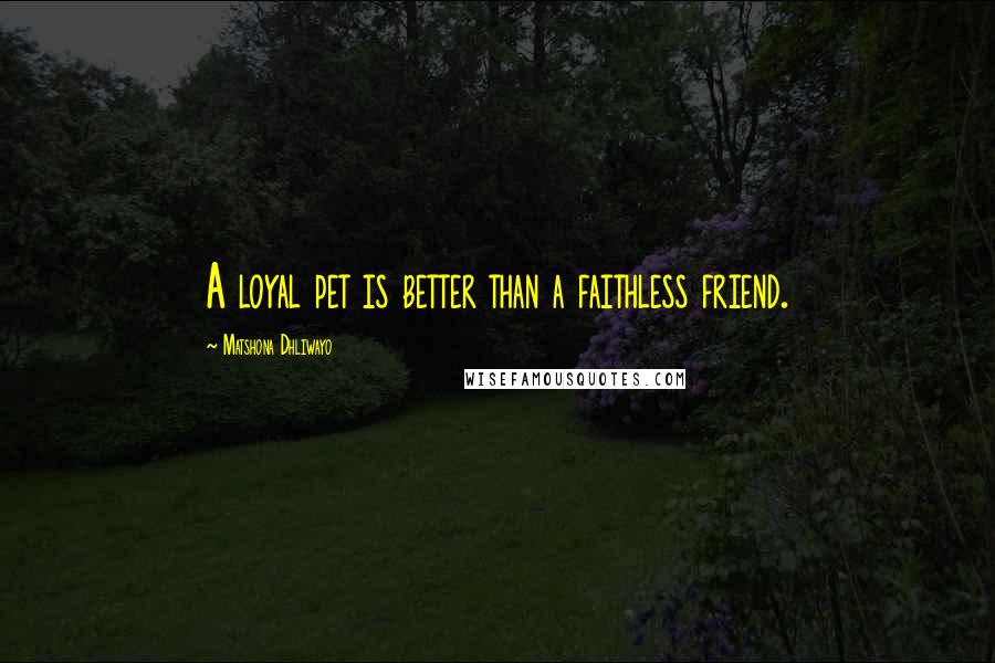 Matshona Dhliwayo Quotes: A loyal pet is better than a faithless friend.