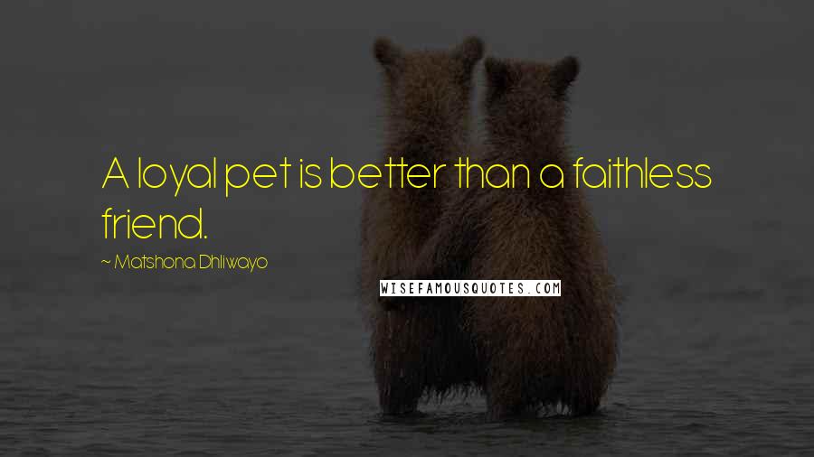 Matshona Dhliwayo Quotes: A loyal pet is better than a faithless friend.