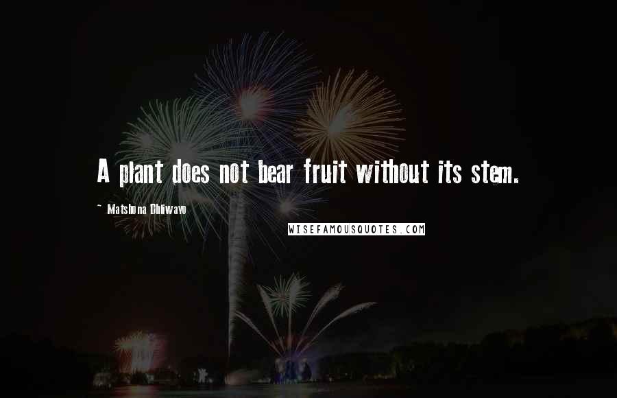Matshona Dhliwayo Quotes: A plant does not bear fruit without its stem.