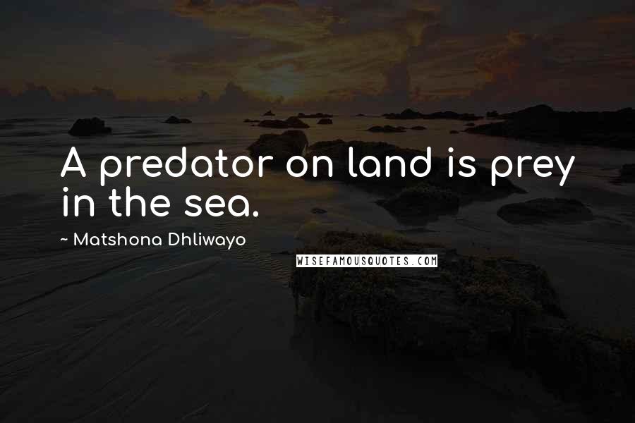 Matshona Dhliwayo Quotes: A predator on land is prey in the sea.