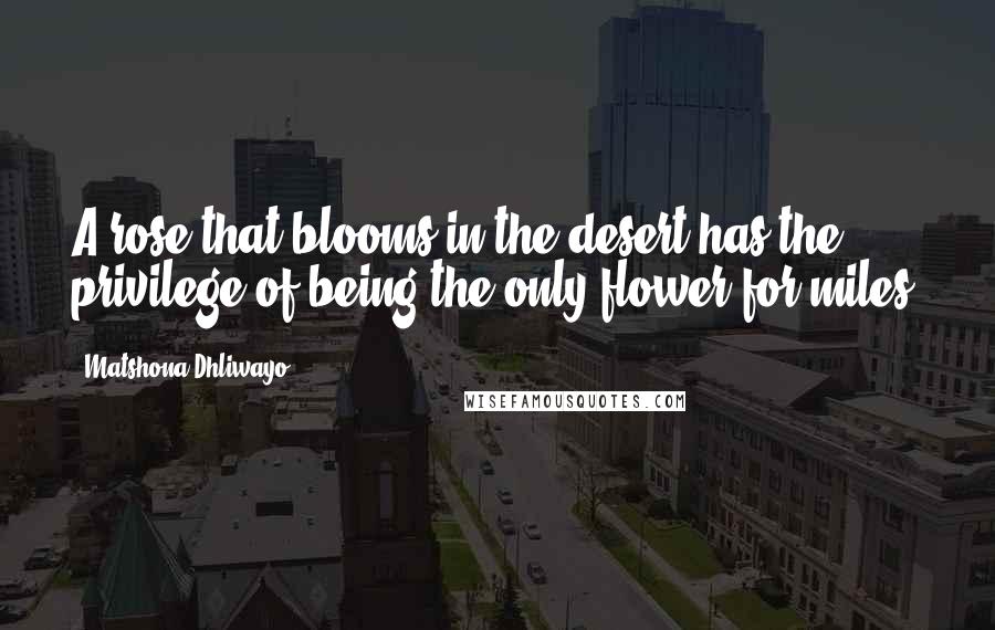 Matshona Dhliwayo Quotes: A rose that blooms in the desert has the privilege of being the only flower for miles.