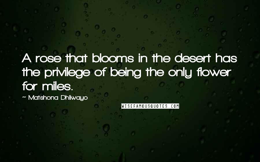 Matshona Dhliwayo Quotes: A rose that blooms in the desert has the privilege of being the only flower for miles.