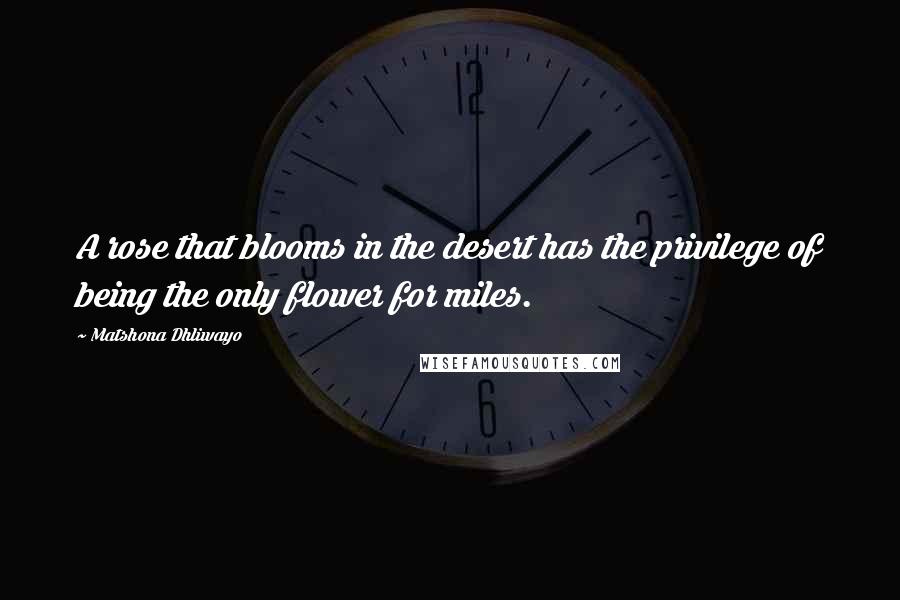 Matshona Dhliwayo Quotes: A rose that blooms in the desert has the privilege of being the only flower for miles.