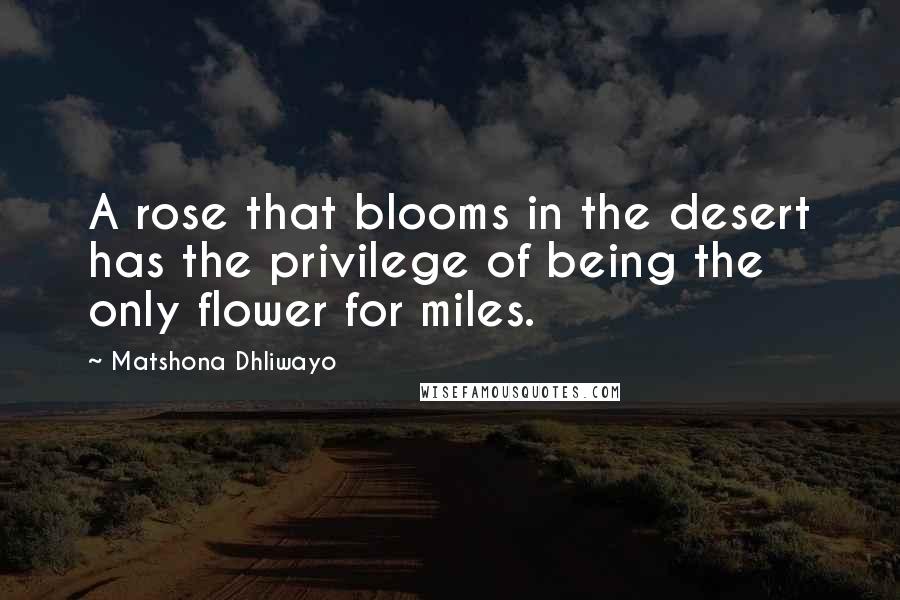 Matshona Dhliwayo Quotes: A rose that blooms in the desert has the privilege of being the only flower for miles.