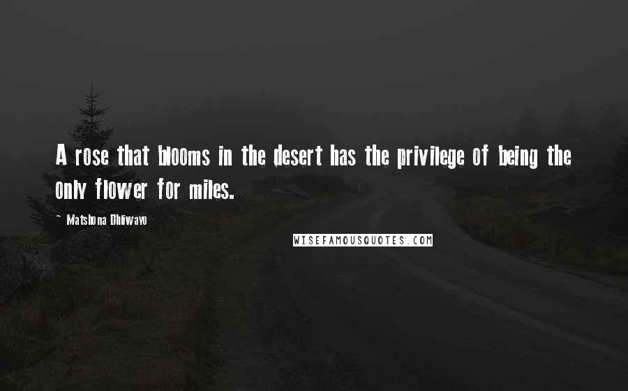 Matshona Dhliwayo Quotes: A rose that blooms in the desert has the privilege of being the only flower for miles.