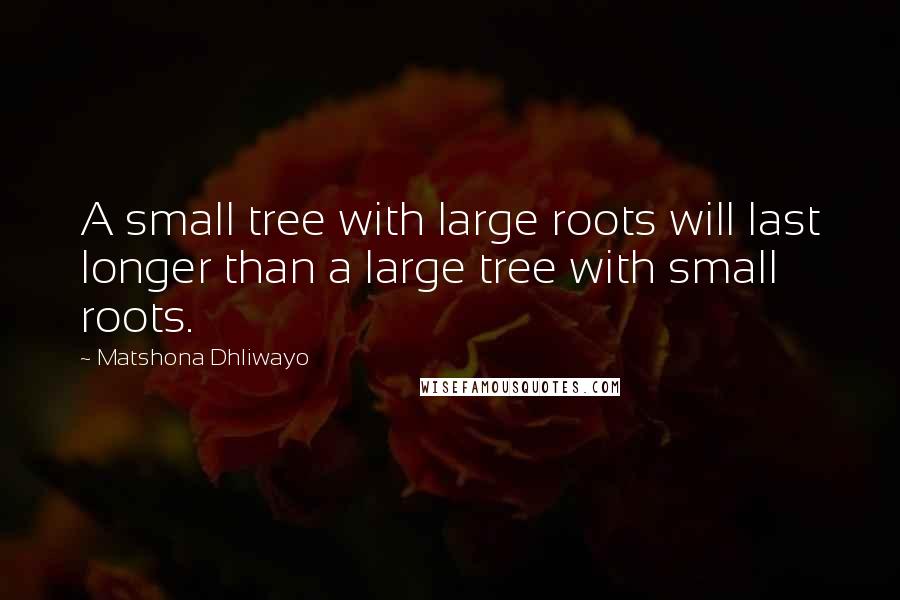 Matshona Dhliwayo Quotes: A small tree with large roots will last longer than a large tree with small roots.