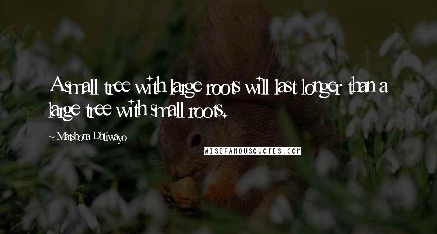 Matshona Dhliwayo Quotes: A small tree with large roots will last longer than a large tree with small roots.