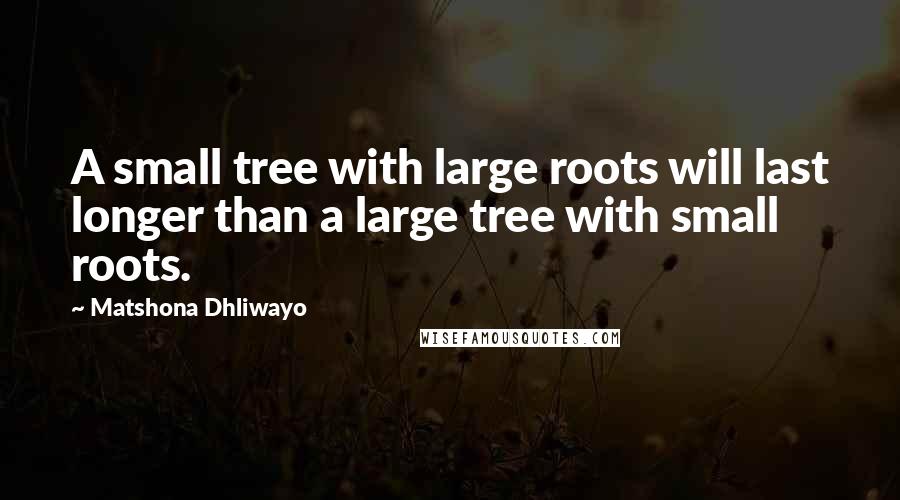 Matshona Dhliwayo Quotes: A small tree with large roots will last longer than a large tree with small roots.