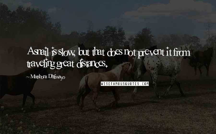 Matshona Dhliwayo Quotes: A snail is slow, but that does not prevent it from traveling great distances.