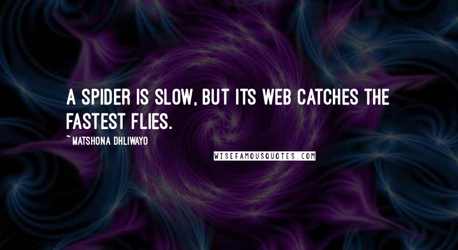 Matshona Dhliwayo Quotes: A spider is slow, but its web catches the fastest flies.