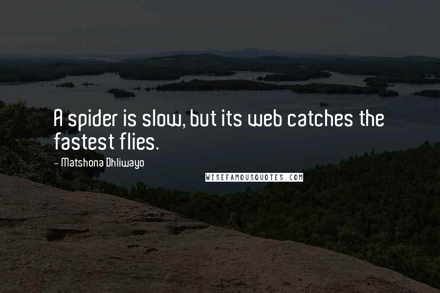 Matshona Dhliwayo Quotes: A spider is slow, but its web catches the fastest flies.