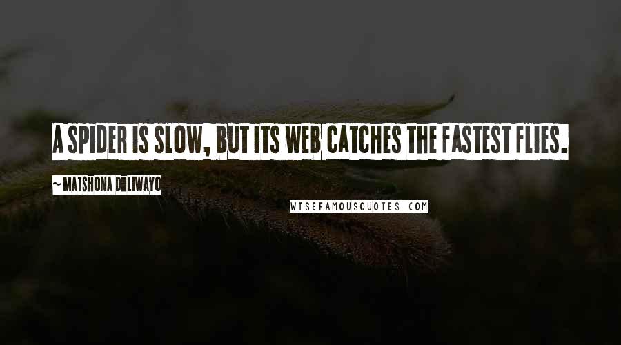 Matshona Dhliwayo Quotes: A spider is slow, but its web catches the fastest flies.