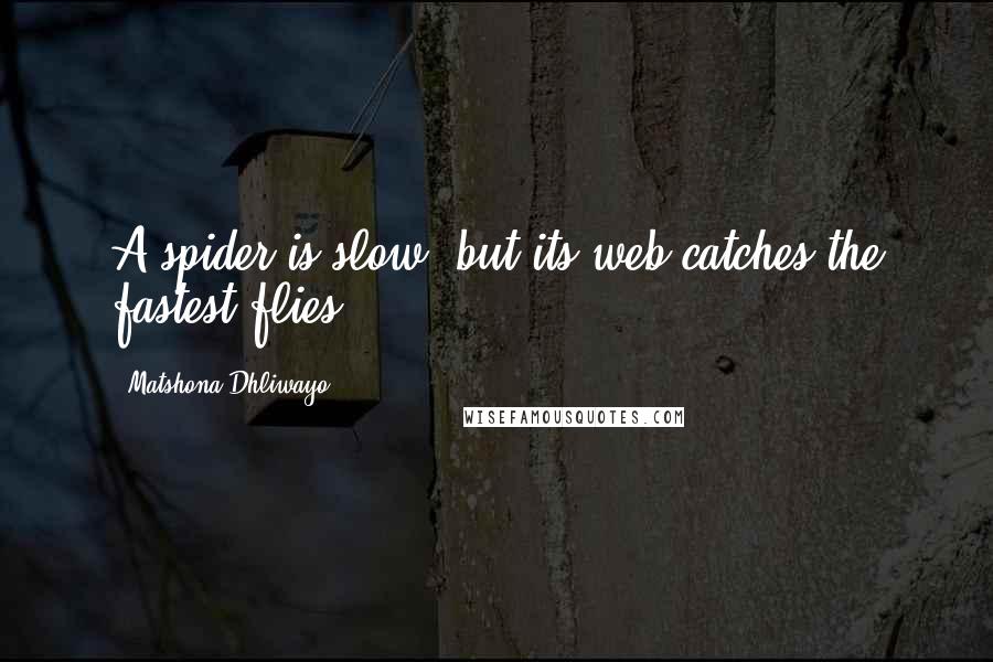 Matshona Dhliwayo Quotes: A spider is slow, but its web catches the fastest flies.