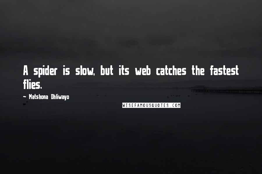 Matshona Dhliwayo Quotes: A spider is slow, but its web catches the fastest flies.