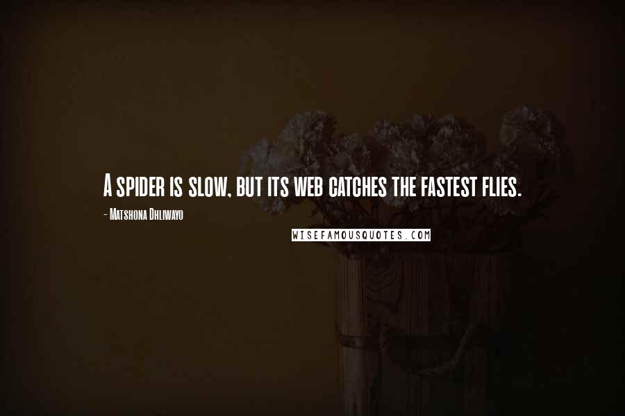 Matshona Dhliwayo Quotes: A spider is slow, but its web catches the fastest flies.