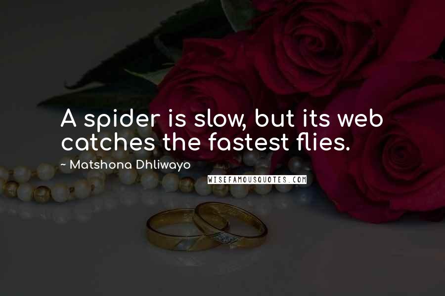 Matshona Dhliwayo Quotes: A spider is slow, but its web catches the fastest flies.
