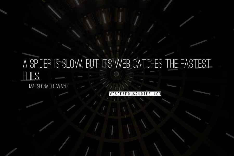 Matshona Dhliwayo Quotes: A spider is slow, but its web catches the fastest flies.