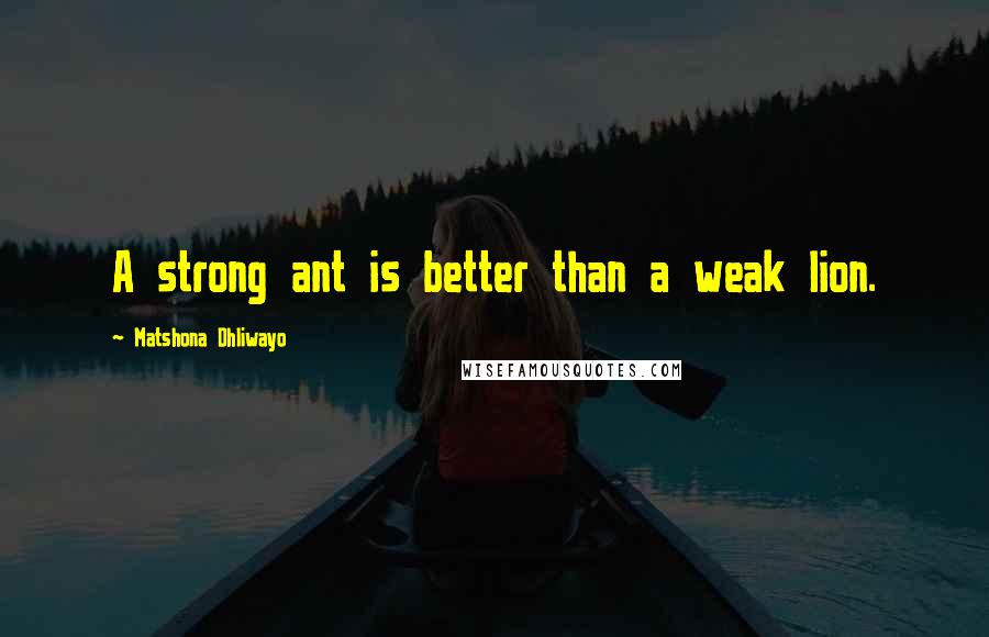 Matshona Dhliwayo Quotes: A strong ant is better than a weak lion.