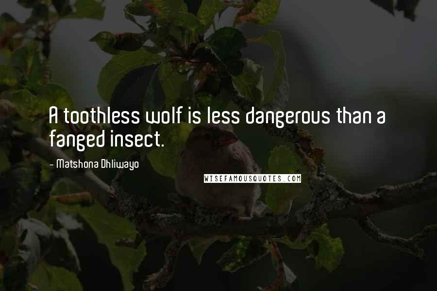 Matshona Dhliwayo Quotes: A toothless wolf is less dangerous than a fanged insect.