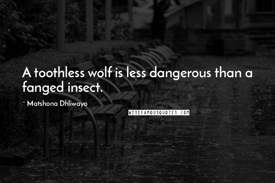 Matshona Dhliwayo Quotes: A toothless wolf is less dangerous than a fanged insect.