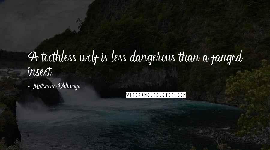 Matshona Dhliwayo Quotes: A toothless wolf is less dangerous than a fanged insect.