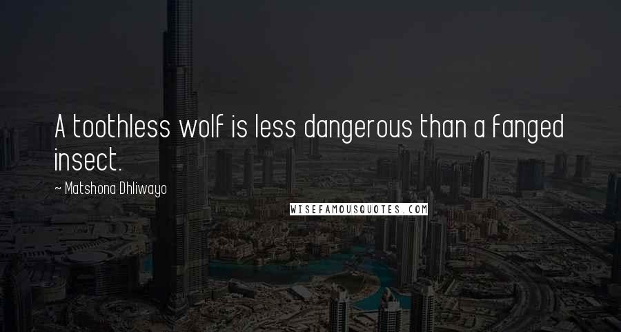 Matshona Dhliwayo Quotes: A toothless wolf is less dangerous than a fanged insect.