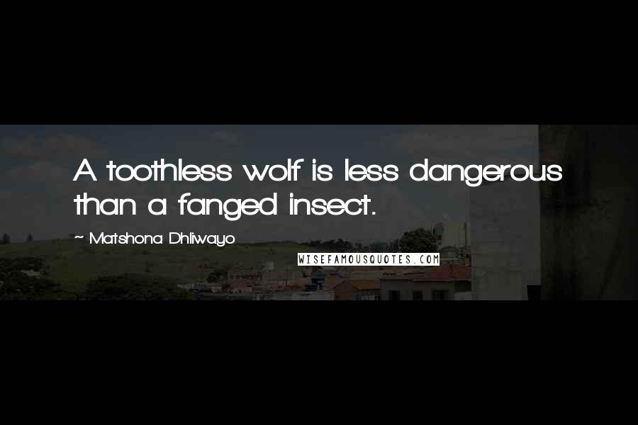 Matshona Dhliwayo Quotes: A toothless wolf is less dangerous than a fanged insect.