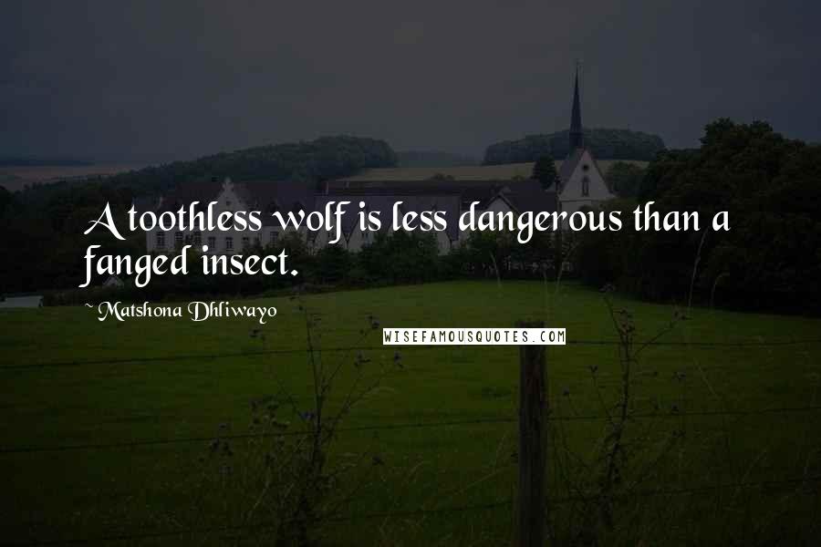 Matshona Dhliwayo Quotes: A toothless wolf is less dangerous than a fanged insect.