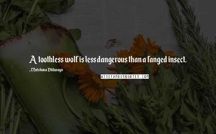 Matshona Dhliwayo Quotes: A toothless wolf is less dangerous than a fanged insect.