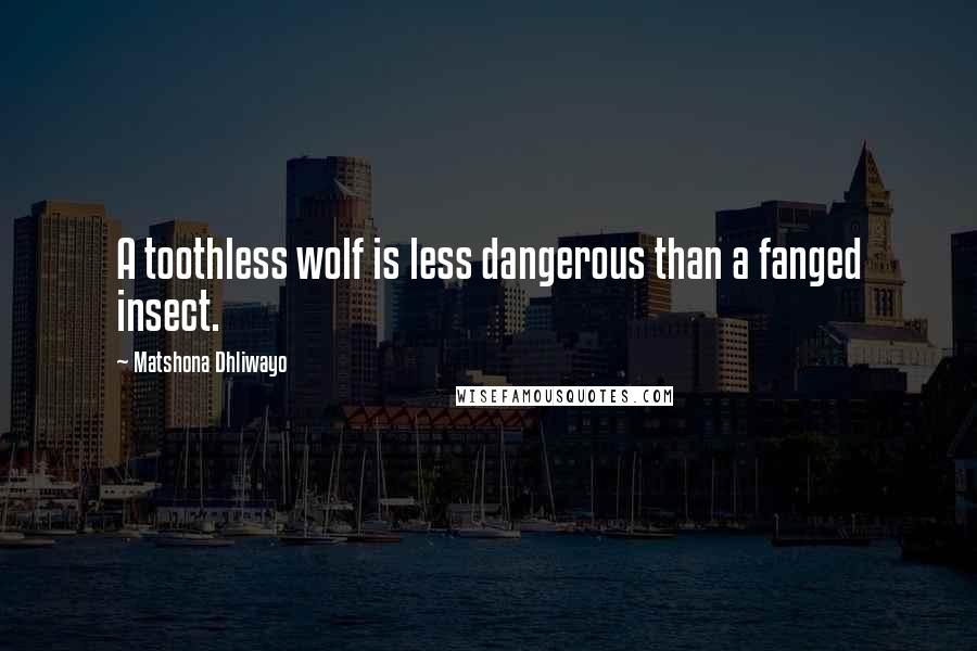 Matshona Dhliwayo Quotes: A toothless wolf is less dangerous than a fanged insect.