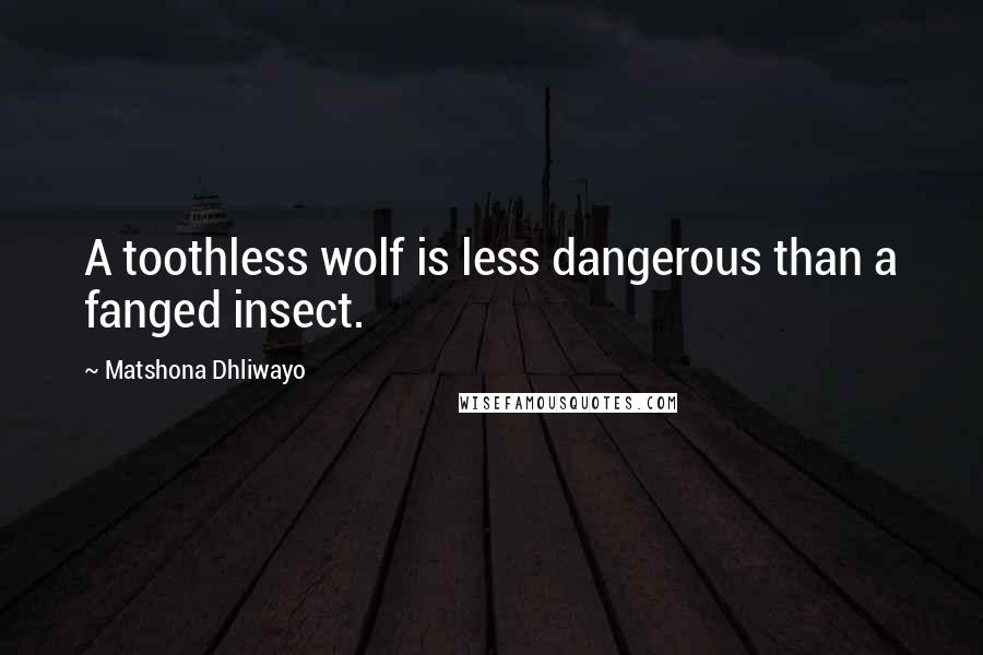 Matshona Dhliwayo Quotes: A toothless wolf is less dangerous than a fanged insect.