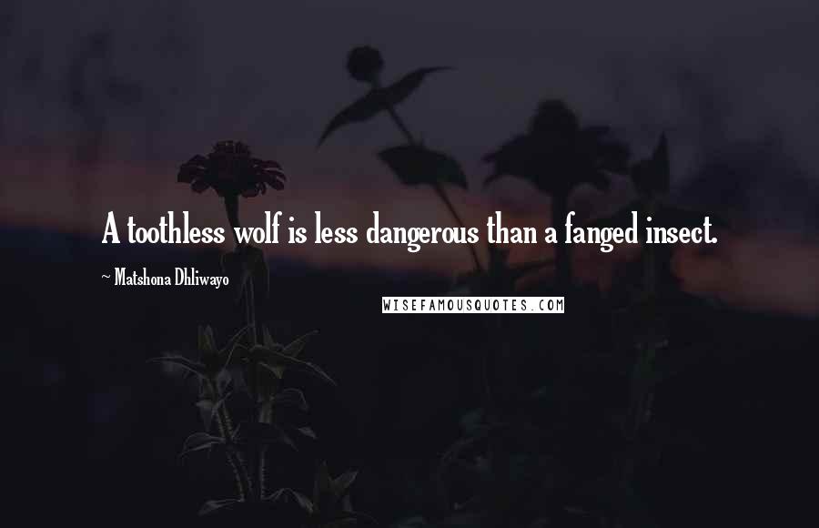 Matshona Dhliwayo Quotes: A toothless wolf is less dangerous than a fanged insect.