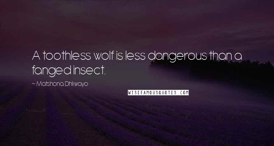 Matshona Dhliwayo Quotes: A toothless wolf is less dangerous than a fanged insect.